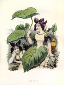 Allegorie, das Veilchen