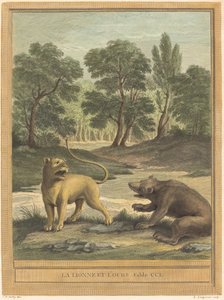 Die Löwin und der Bär