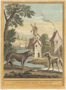 Der Wolf und der magere Hund