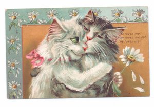 Edwardianische Postkarte von zwei sich umarmenden Katzen, ca. 1910