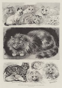 Preisträger auf der National Cat Club Show im Crystal Palace von Louis Wain