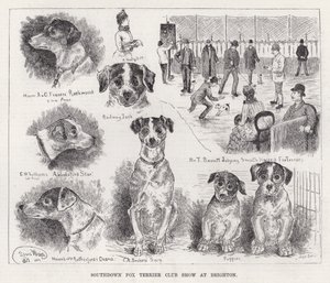 Southdown Fox Terrier Club Show in Brighton von Louis Wain