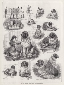 Die Ausstellung des St. Bernhard Clubs in Knightsbridge von Louis Wain
