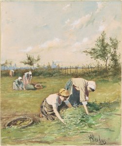 Ährenleser im Feld