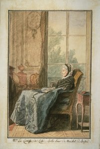 Die Comtesse de Cossé in einem Salon