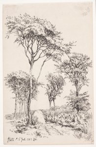 Waldlandschaft mit freistehenden Bäumen von Louise Ravn Hansen