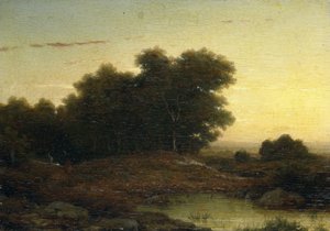 Ansicht im Wald bei Sonnenuntergang