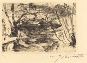 Der Neue See, 1920-1921