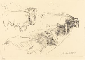 Kühe, 1910