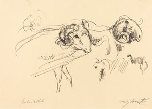 Schafböcke, 1912