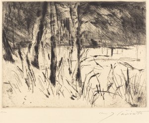 Tiergarten Zoologischer Garten von Lovis Corinth
