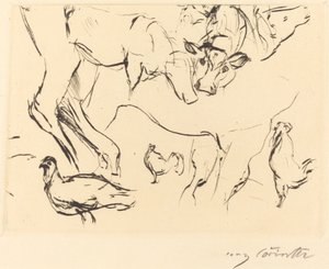 Verschiedene Tierstudien