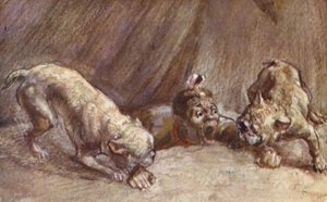 Illustration für das Leben von H.M. Stanley