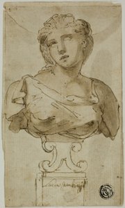 Büste einer Frau von Luca Cambiaso