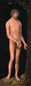 Adam von Lucas Cranach the Elder