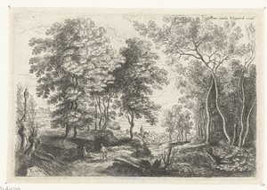 Landschaft mit einem Bach durch einen Wald