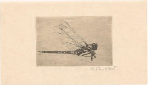 Libelle