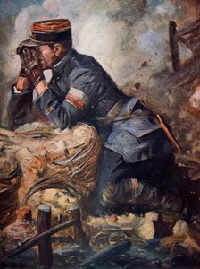 Der Beobachter