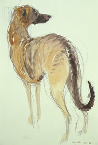 Lurcher stehend