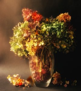  von Ludmila Shumilova