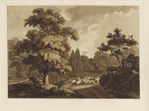 Landschaft mit Schäfer