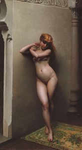 Der Favorit von Luis Riccardo Falero