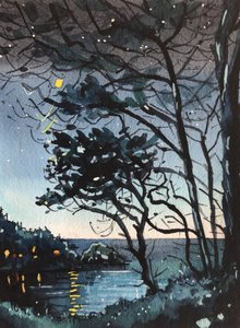 Magische Nachtspiegelungen von Luisa Millicent