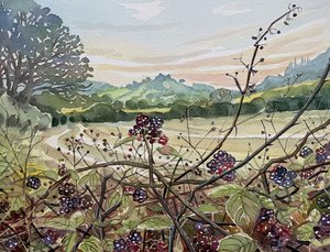 Reife Brombeeren Landschaft von Luisa Millicent
