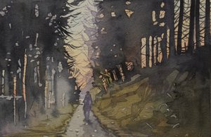 Dämmerung Waldspaziergang
