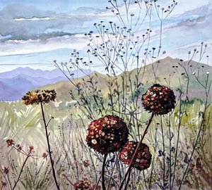 Wildblumen und Berge von Luisa Millicent