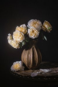  von Lydia Jacobs