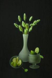 Grüne Botanicals und Limetten