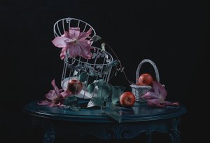  von Lydia Jacobs