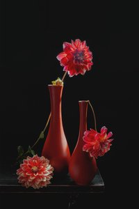  von Lydia Jacobs