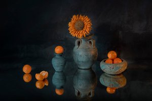 Lebhafte Sonnenblumen und Mandarinen von Lydia Jacobs