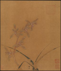 Orchideen, zweites Viertel des 13. Jahrhunderts.
