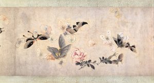Blumen und Schmetterlinge