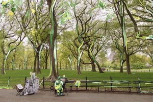 Central Park von Madeleine Gross