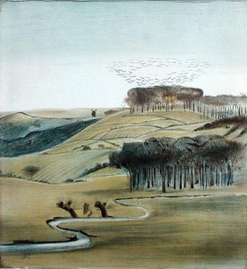 Landschaft mit Saatkrähen