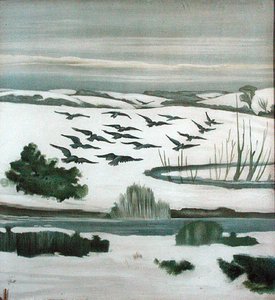 Saatkrähen, die über eine Winterlandschaft fliegen