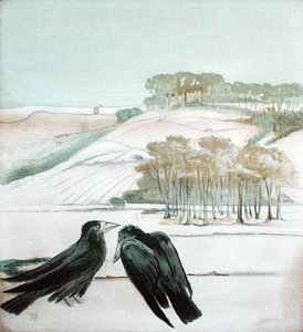 Saatkrähen in einer Landschaft