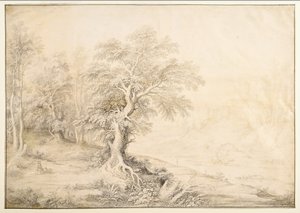 Flusslandschaft