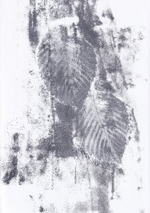 Abstrakte Blatttexturen von Maira Ribena