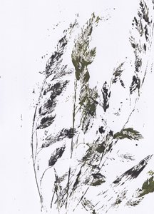 Botanischer Grasdruck