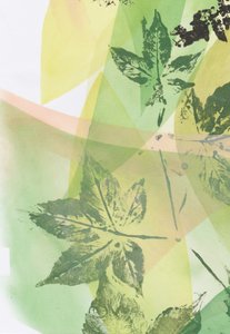 Grüne Blattüberlagerungen von Maira Ribena