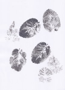 Minzblatt-Abdrücke