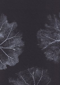 Monochrome Blatttexturen