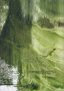 Organischer Grüner Fluss von Maira Ribena