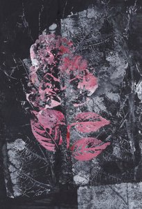 Texturierte rosa Blüte von Maira Ribena