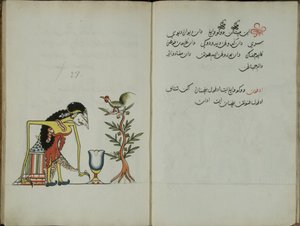 Wukon Jawa, MS 41 S.54, Bild 27, 1830